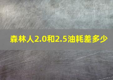 森林人2.0和2.5油耗差多少