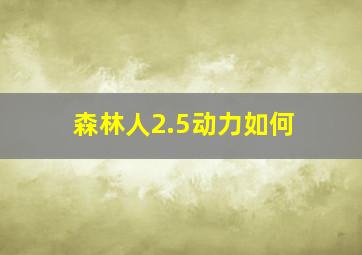 森林人2.5动力如何