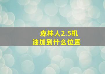 森林人2.5机油加到什么位置