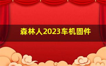 森林人2023车机固件