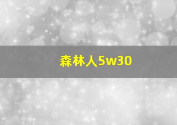 森林人5w30