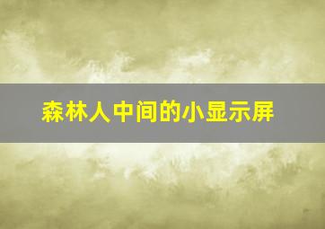 森林人中间的小显示屏