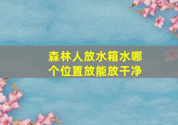 森林人放水箱水哪个位置放能放干净