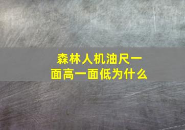 森林人机油尺一面高一面低为什么