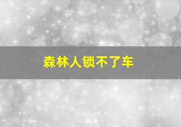 森林人锁不了车