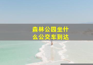 森林公园坐什么公交车到达