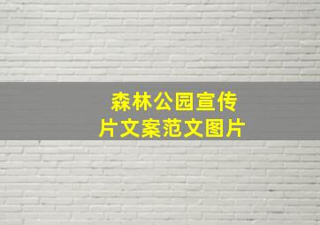 森林公园宣传片文案范文图片