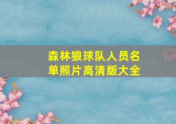 森林狼球队人员名单照片高清版大全