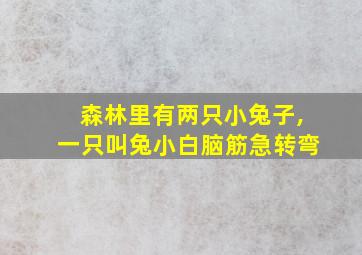 森林里有两只小兔子,一只叫兔小白脑筋急转弯