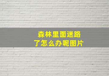 森林里面迷路了怎么办呢图片