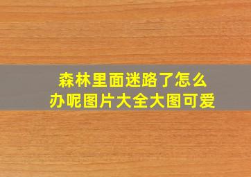 森林里面迷路了怎么办呢图片大全大图可爱