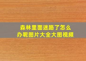 森林里面迷路了怎么办呢图片大全大图视频