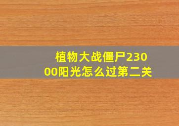 植物大战僵尸23000阳光怎么过第二关