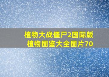 植物大战僵尸2国际版植物图鉴大全图片70