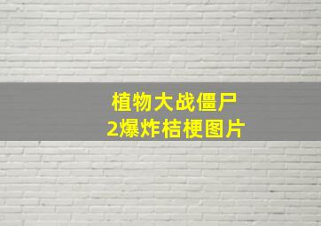 植物大战僵尸2爆炸桔梗图片