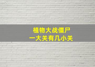 植物大战僵尸一大关有几小关