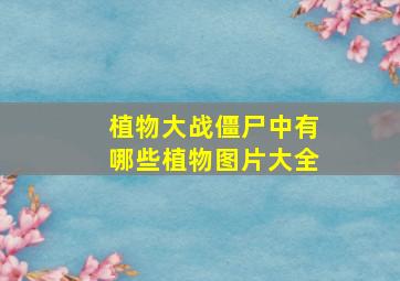 植物大战僵尸中有哪些植物图片大全