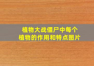 植物大战僵尸中每个植物的作用和特点图片