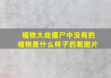 植物大战僵尸中没有的植物是什么样子的呢图片