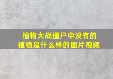 植物大战僵尸中没有的植物是什么样的图片视频