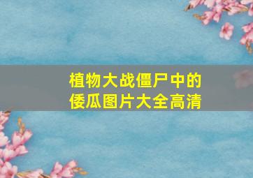 植物大战僵尸中的倭瓜图片大全高清