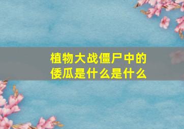 植物大战僵尸中的倭瓜是什么是什么