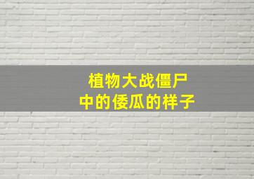 植物大战僵尸中的倭瓜的样子