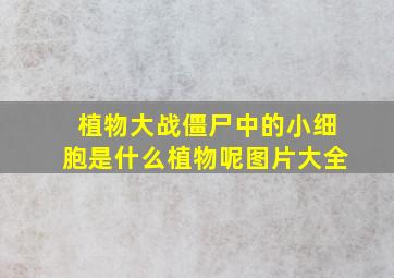 植物大战僵尸中的小细胞是什么植物呢图片大全