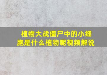 植物大战僵尸中的小细胞是什么植物呢视频解说