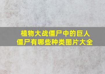 植物大战僵尸中的巨人僵尸有哪些种类图片大全