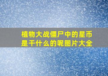 植物大战僵尸中的星币是干什么的呢图片大全