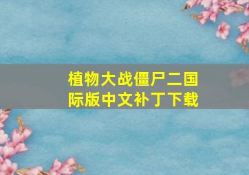 植物大战僵尸二国际版中文补丁下载