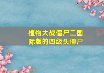 植物大战僵尸二国际版的四级头僵尸