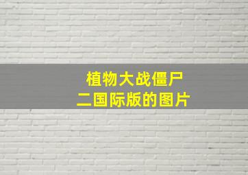 植物大战僵尸二国际版的图片