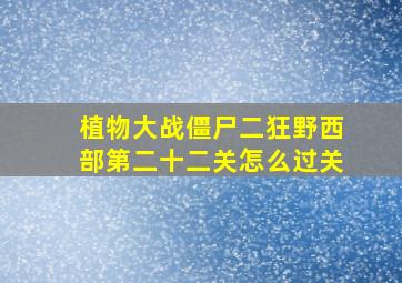 植物大战僵尸二狂野西部第二十二关怎么过关