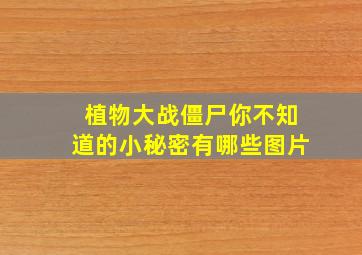 植物大战僵尸你不知道的小秘密有哪些图片