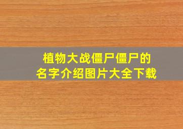 植物大战僵尸僵尸的名字介绍图片大全下载