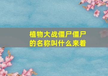 植物大战僵尸僵尸的名称叫什么来着