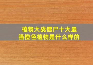 植物大战僵尸十大最强橙色植物是什么样的