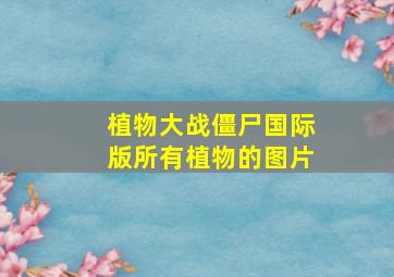 植物大战僵尸国际版所有植物的图片