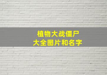 植物大战僵尸大全图片和名字