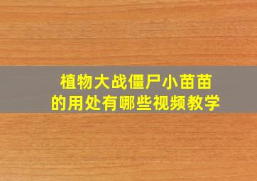 植物大战僵尸小苗苗的用处有哪些视频教学