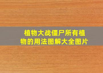 植物大战僵尸所有植物的用法图解大全图片