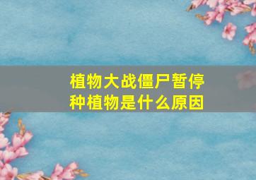 植物大战僵尸暂停种植物是什么原因