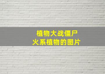 植物大战僵尸火系植物的图片