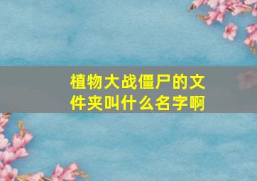 植物大战僵尸的文件夹叫什么名字啊