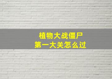 植物大战僵尸第一大关怎么过