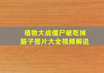 植物大战僵尸被吃掉脑子图片大全视频解说