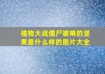 植物大战僵尸被啃的坚果是什么样的图片大全