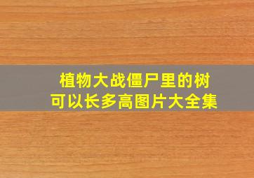 植物大战僵尸里的树可以长多高图片大全集